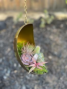 Amazon.com: SparkDazzle Floating Metal Moon Planter